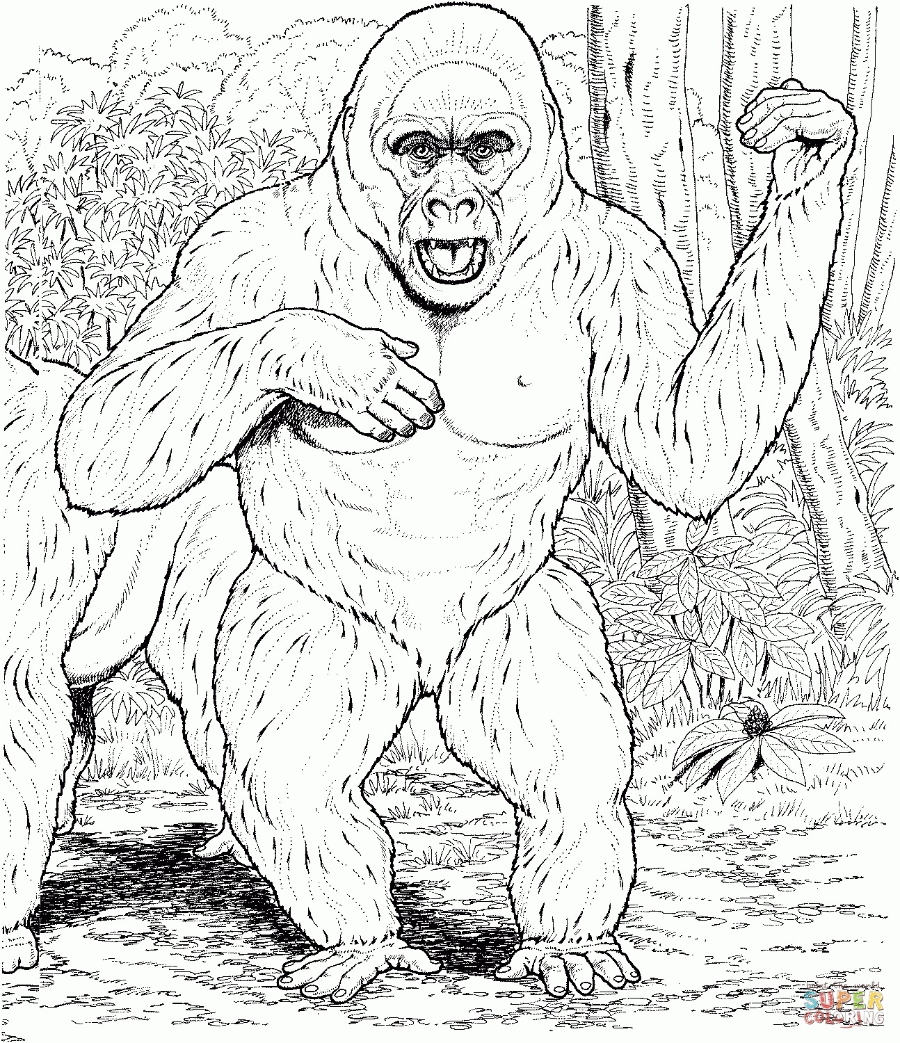 Plansa de colorat cu Gorilla 34 28
